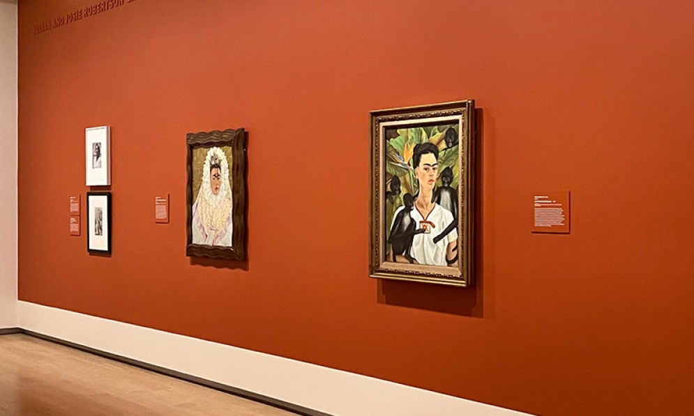 Auckland-Art-Gallery-Frida-Kahlo-hero