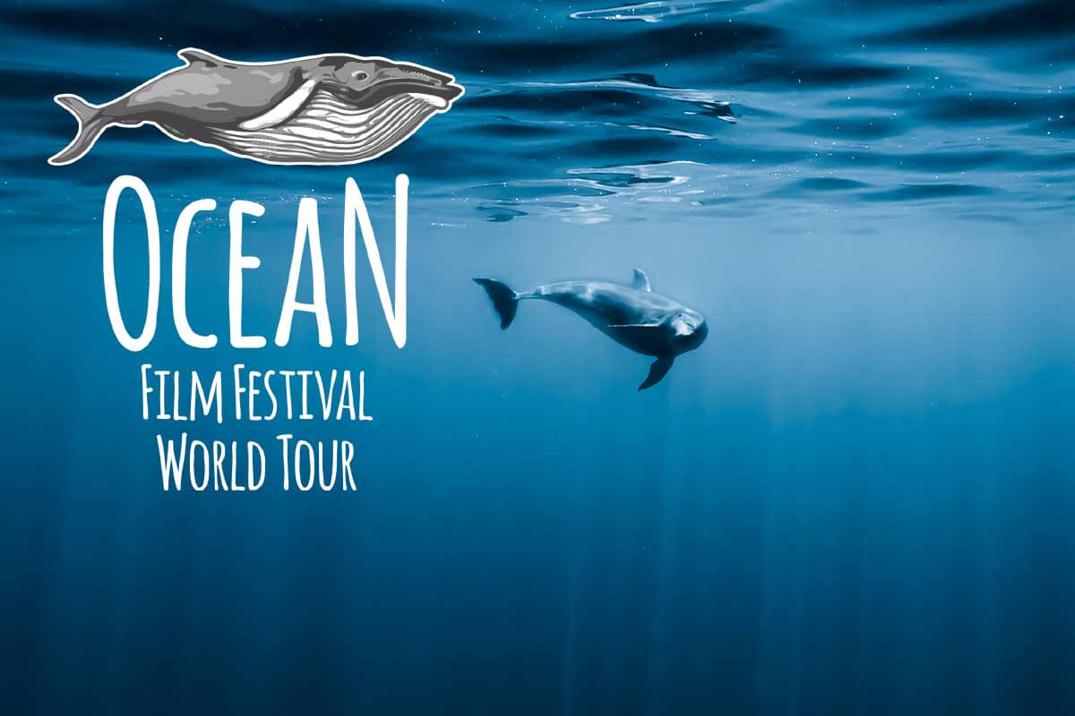 ocean-film-festival-title